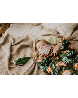 T-TOMI Teether Forest