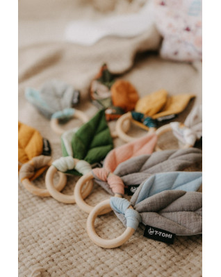 T-TOMI Teether Blue