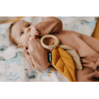 T-TOMI Teether Animals