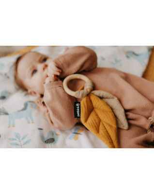 T-TOMI Teether Animals