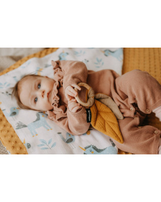 T-TOMI Teether Feathers